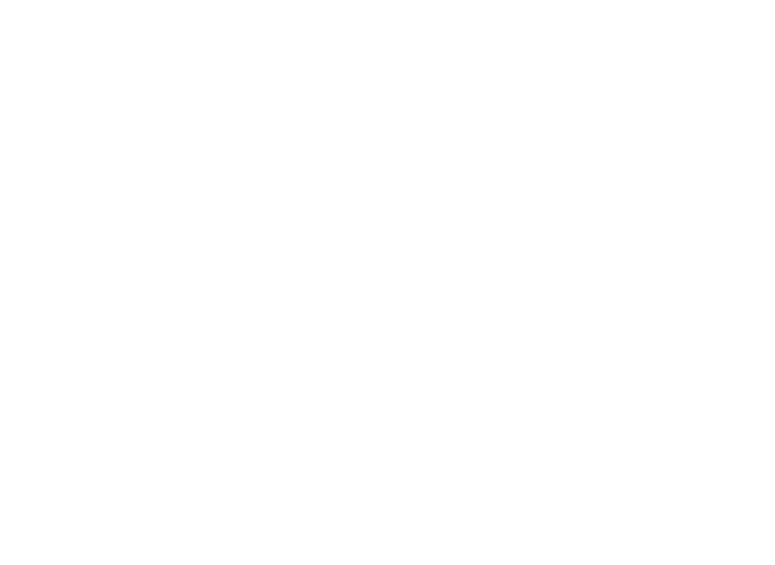 Safetycom Safetycom event communication experts